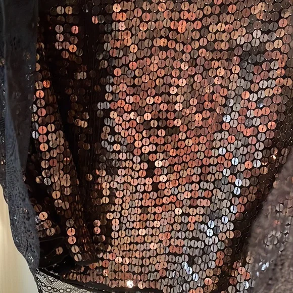 NWT JOIE sequin and Lace top size L Tops